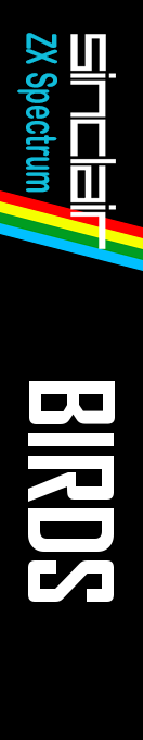 Birds — box-2D-side (WOR)