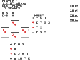 BridgePro — ss (WOR)