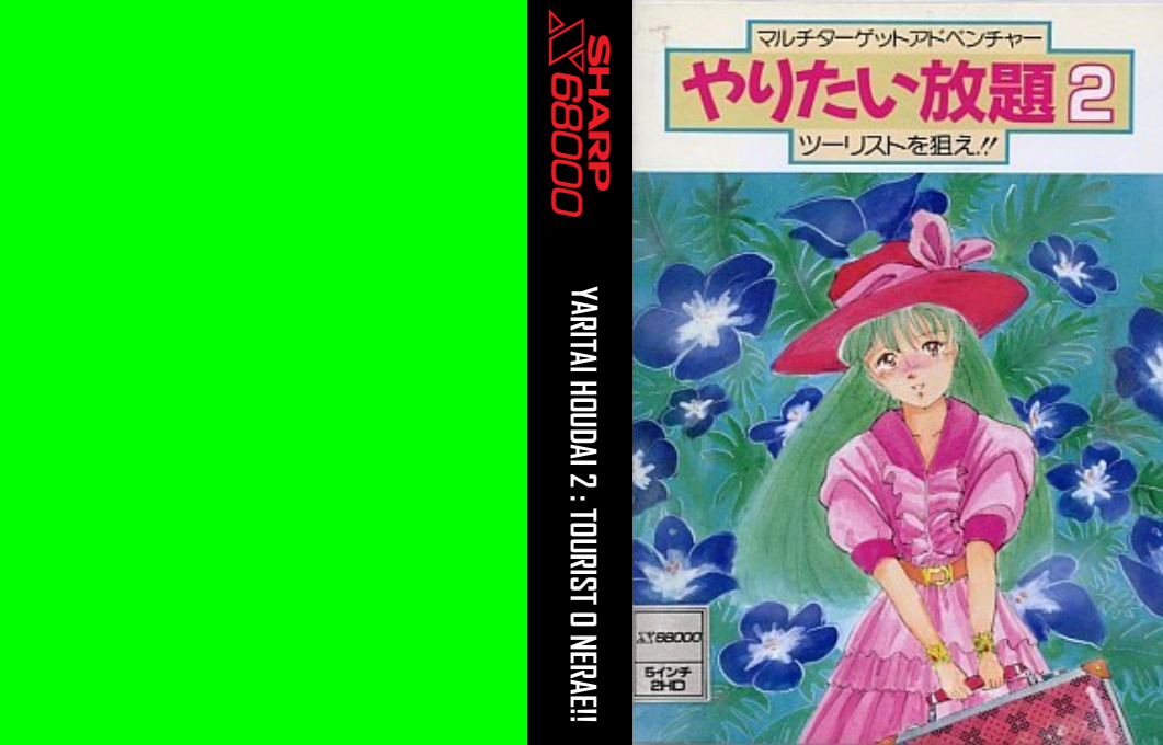 Yaritai Houdai 2 — box-texture (JP)