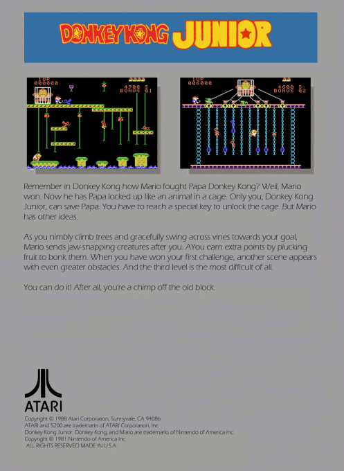 Donkey Kong Jr — box-2D-back (WOR)