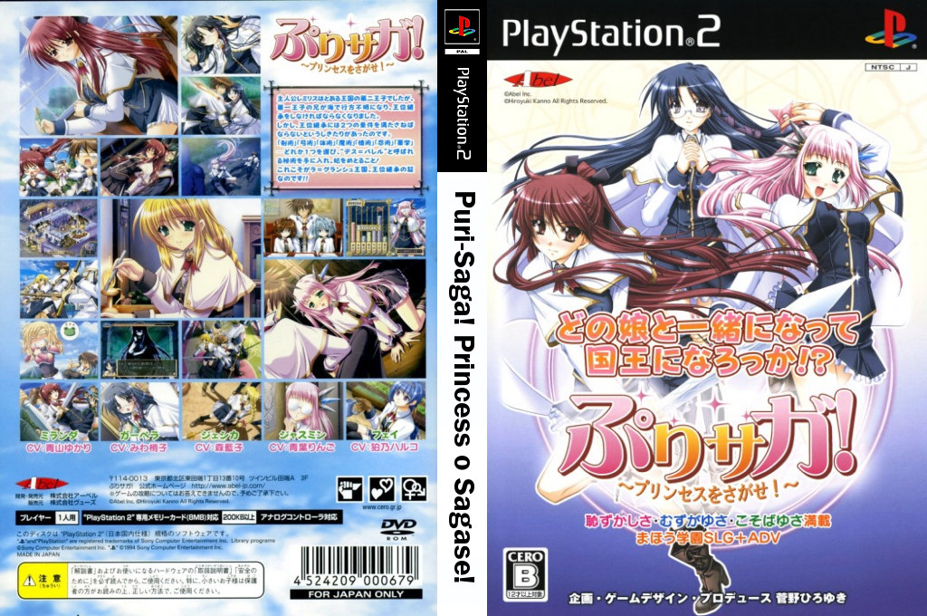 Puri-Saga! Princess o Sagase! — box-texture (JP)
