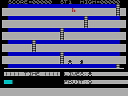 Mad Jumper — ss (WOR)