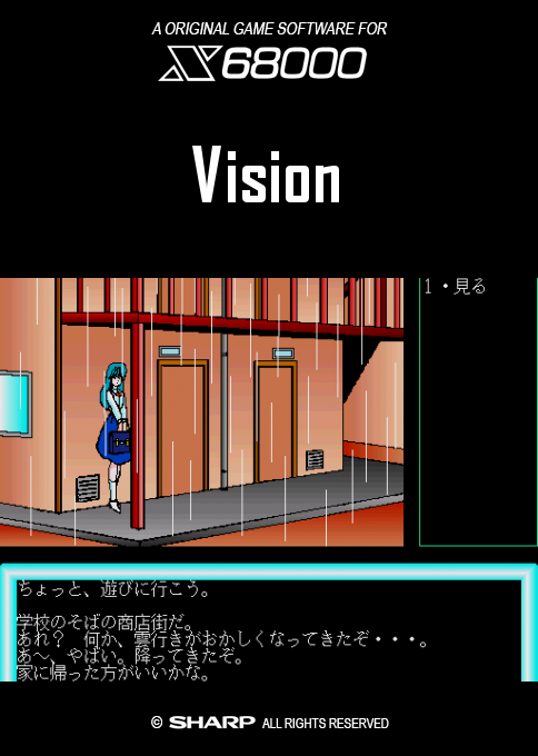 Vision box art