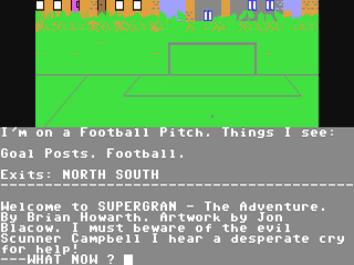 Super Gran : The Adventure — ss (WOR)