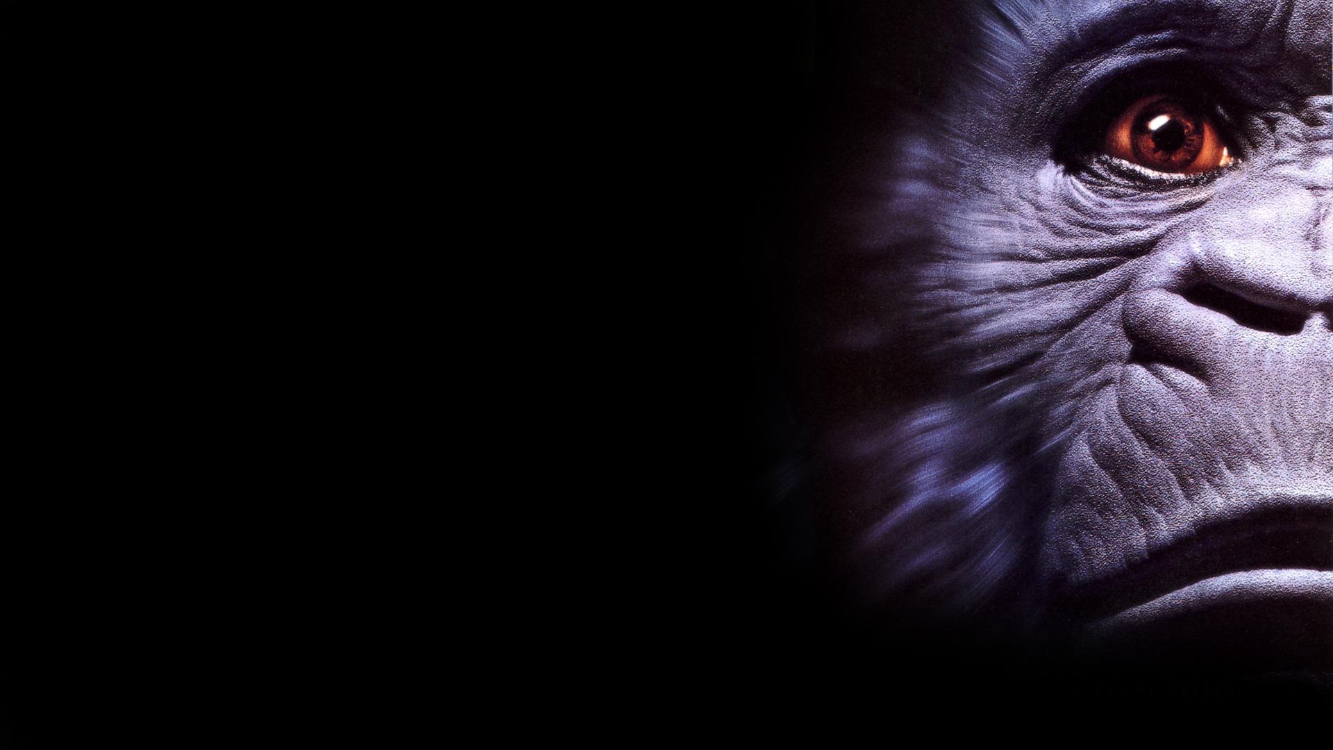 Congo - The Movie - Secret Of Zinj — fanart