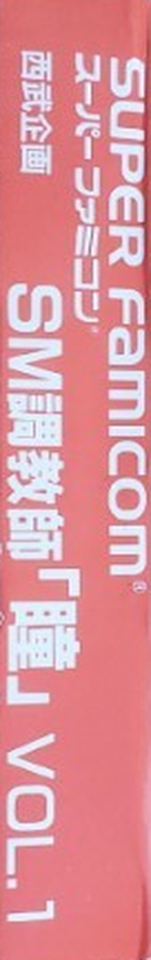 Sm Choukyoushi Hitomi — box-2D-side (JP)