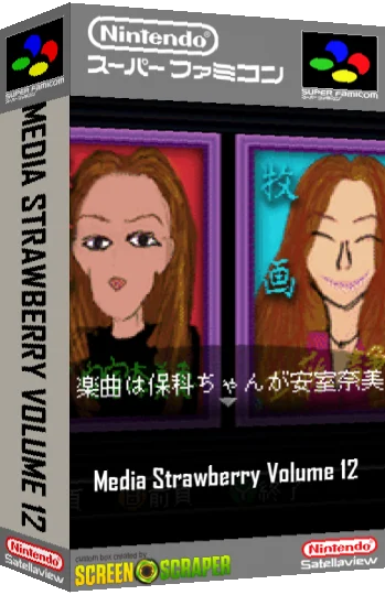 Mirai-gata Idol Kaihatsu System - Media Strawberry - Vol. 12 — box-3D (SS)