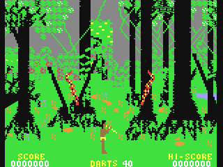 Amazon Warrior — ss (WOR)
