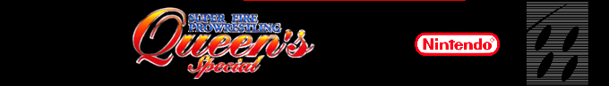 Super Fire Pro Wrestling - Queen's Special — box-2D-side (SS)