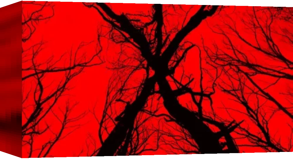 Blair Witch — box-3D (WOR)