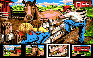Katie's Farm — ss (WOR)