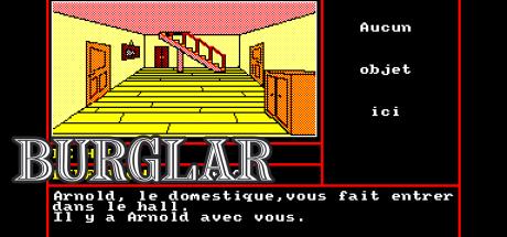 Burglar — steamgrid