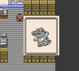 Pokémon : Crystal Legacy — ss (WOR)