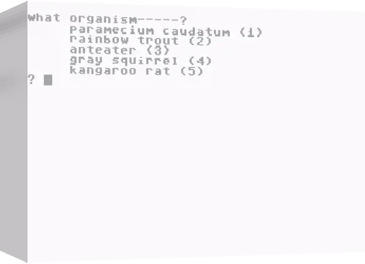 Niche — box-3D (WOR)