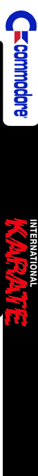 International Karate — box-2D-side (US)