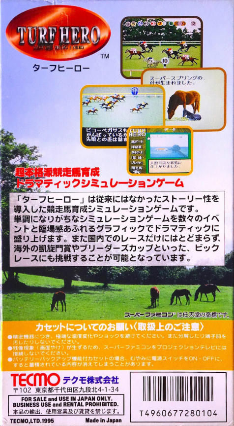 Turf Hero — box-2D-back (JP)