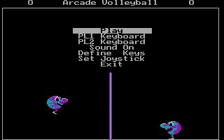 Arcade Volleyball — sstitle (WOR)