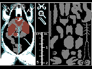 Operation : Frog — ss (WOR)
