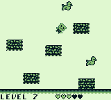 Polka Sheep — ss (WOR)