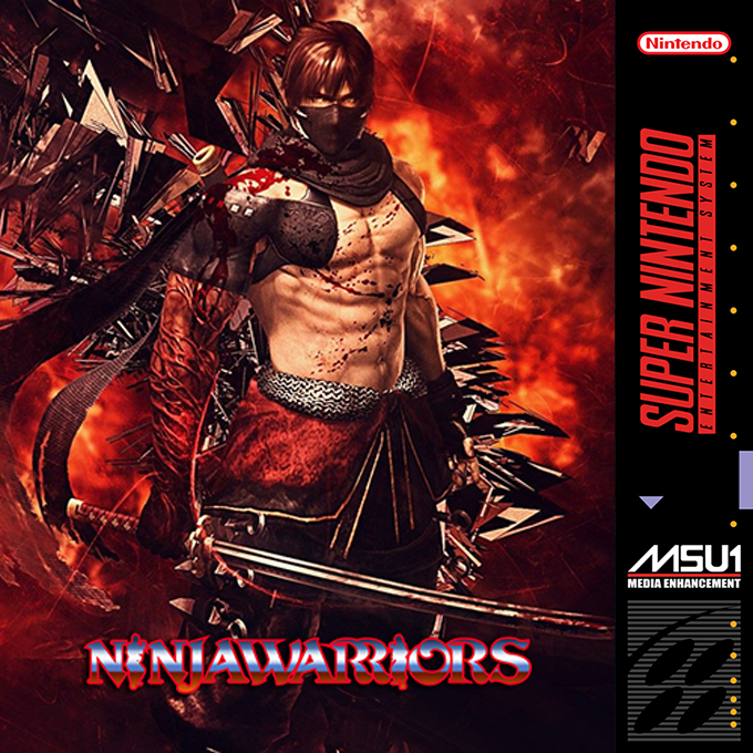 Ninjawarriors box art