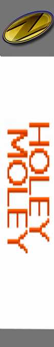 Holey Moley — box-2D-side (SS)