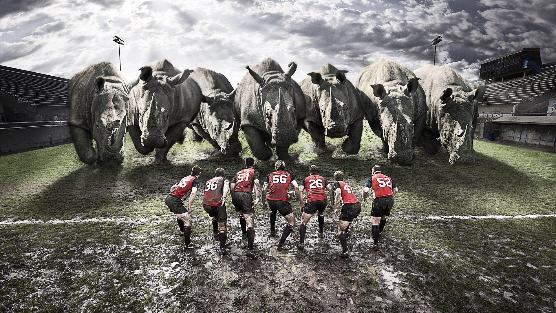 Rugby World Cup 2011 — fanart