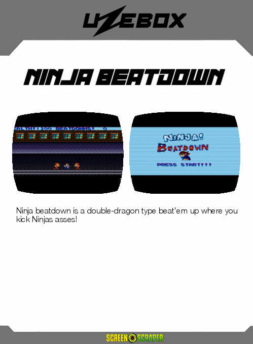 Ninja Beatdown — box-2D-back (SS)