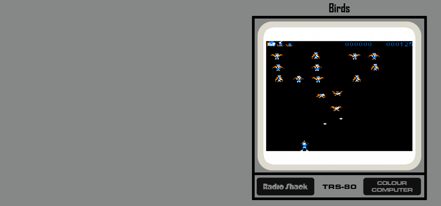 Birds — box-texture (SS)