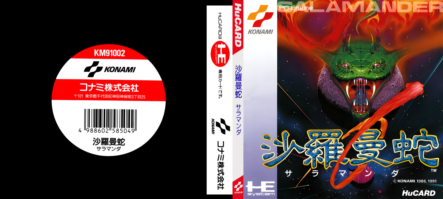 Salamander — box-texture (JP)