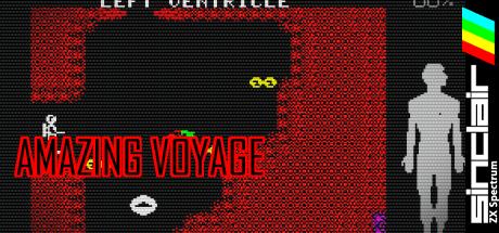 Amazing Voyage — steamgrid