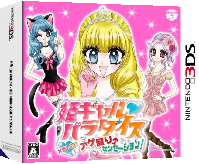 Hime Girl Paradise - Mechikawa! Agemori Sensation! — box-3D (JP)