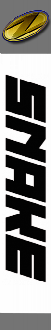 Snake — box-2D-side (SS)