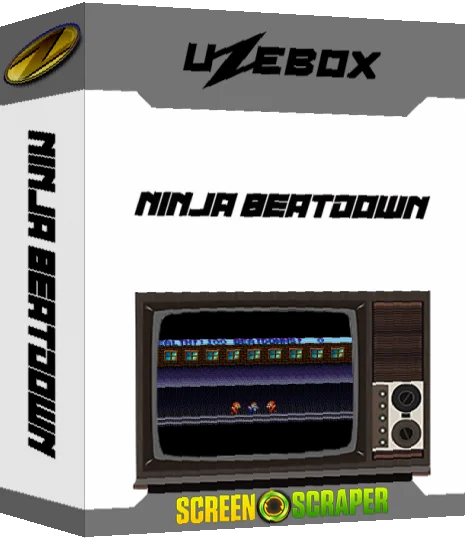 Ninja Beatdown — box-3D (SS)