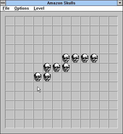 Amazon Skulls — ss (WOR)
