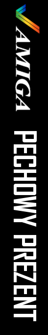 Pechowy Prezent — box-2D-side (WOR)