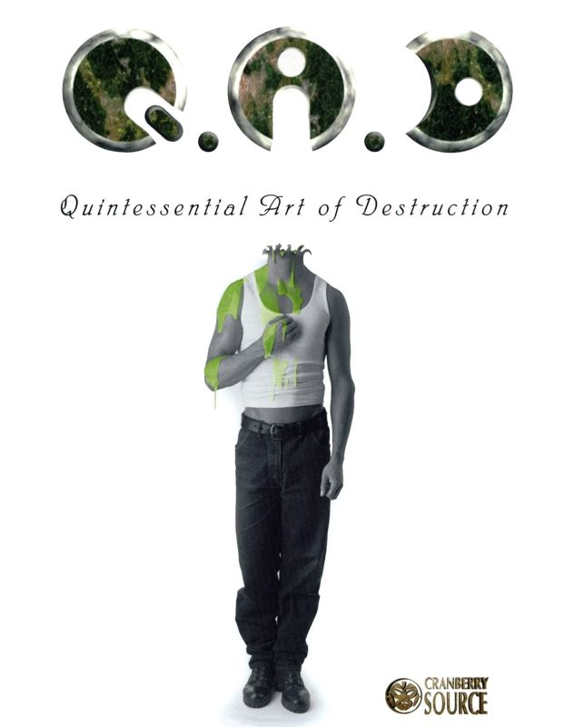 Qad - Quintessential Art Of Destruction box art