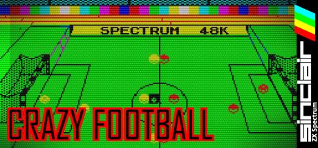 Crazy Football — steamgrid