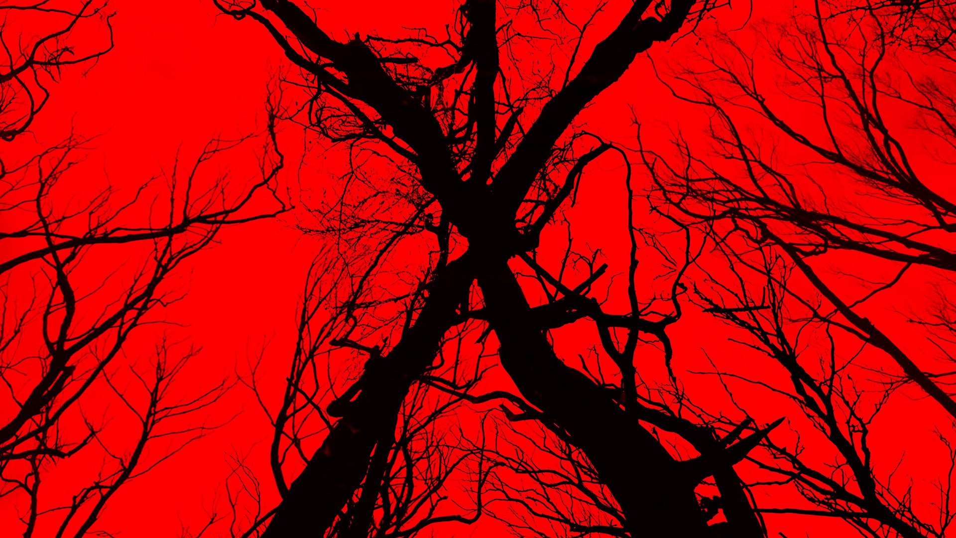 Blair Witch — fanart
