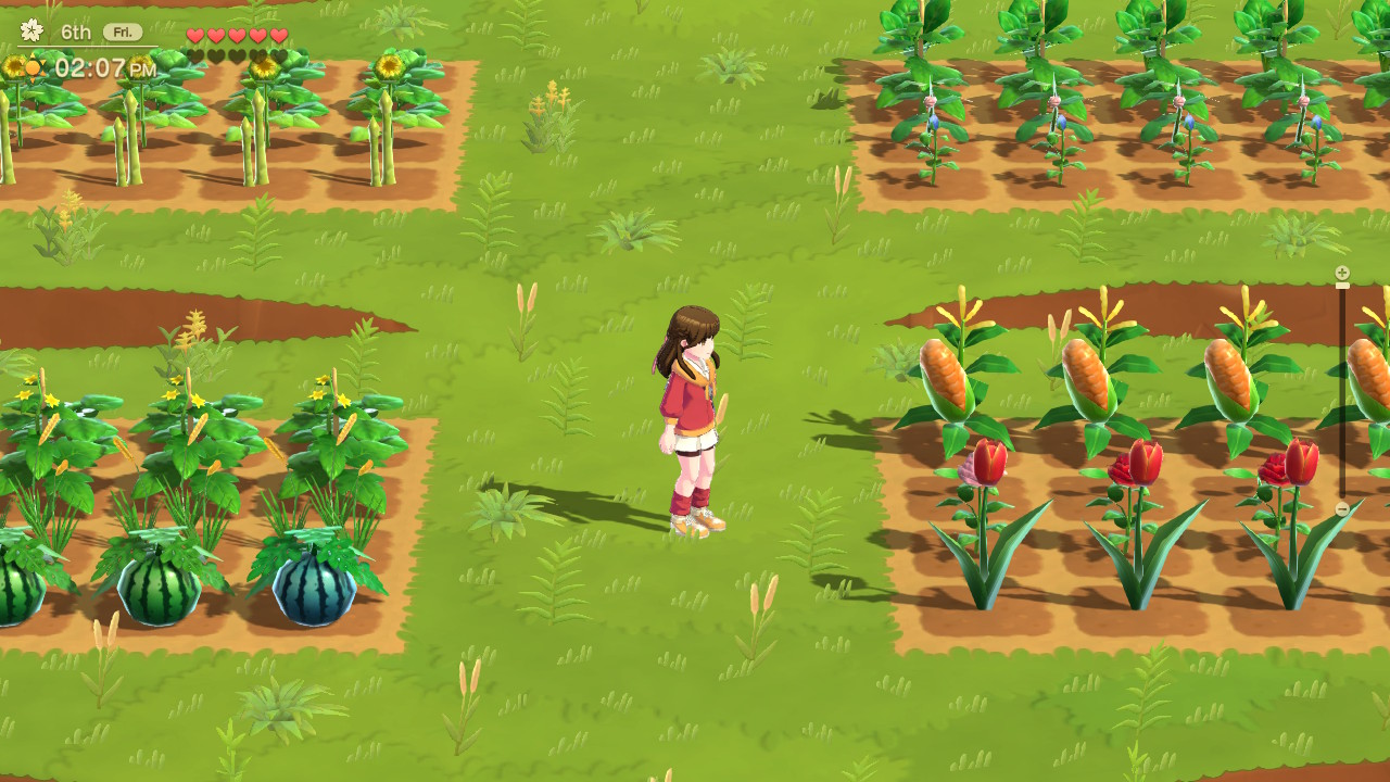 Harvest Moon - Home Sweet Home — ss (WOR)