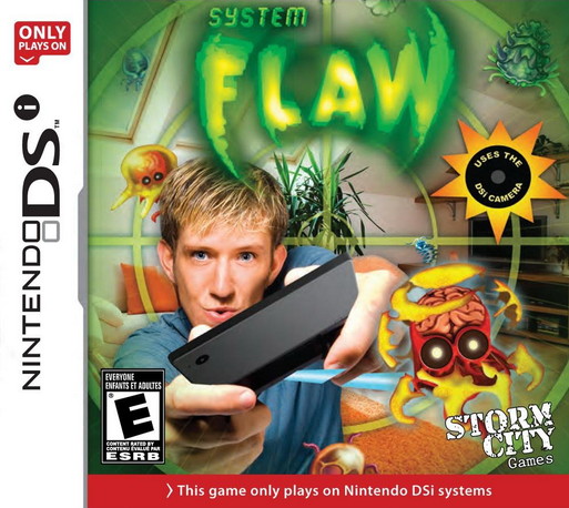 System - Flaw box art