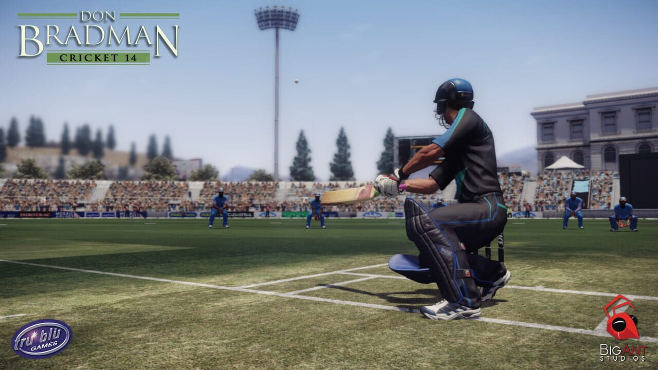 Don Bradman Cricket 14 — screenshot (WOR)