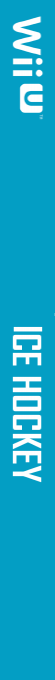 Ice Hockey — box-2D-side (WOR)