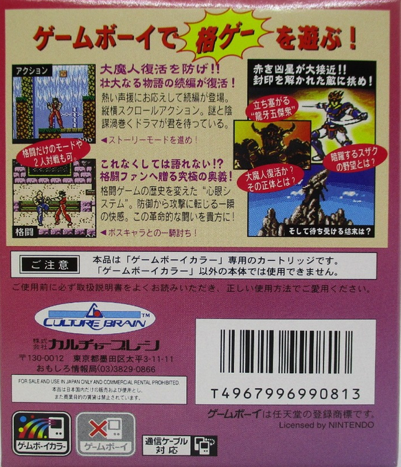 Hiryuu No Ken - Retsuden Gb — box-2D-back (JP)