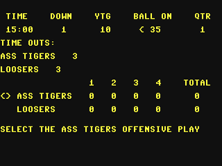 ZFL Football — ss (WOR)