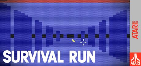 Survival Run — steamgrid