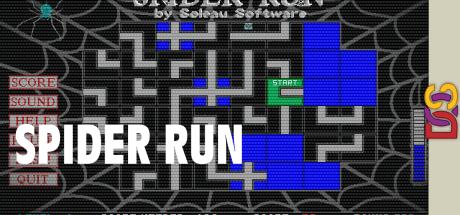 Spider Run — steamgrid