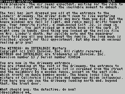ZxZvm - Witness - An Interlogic Mystery — ss (WOR)