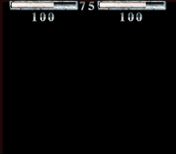 Shadow Fighters — ss (WOR)
