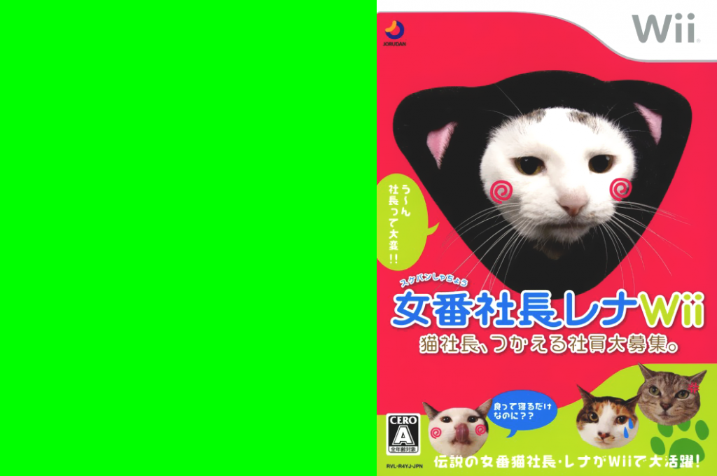 Sukeban Shachou Rena Wii — box-texture (JP)