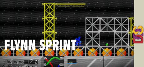 Flynn Sprint — steamgrid